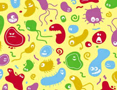 stomach bacteria